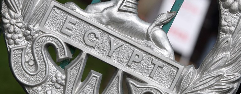 The cap badge of the South Wales Borderers on the front gates of the museum